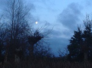 The wee small hours (Image copyright: Padraig Hanratty)