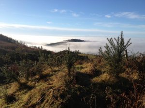 Cohen keeps his vision of the future vague (Image copyright: Padraig Hanratty)